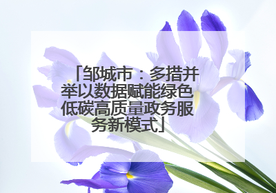 邹城市：多措并举以数据赋能绿色低碳高质量政务服务新模式