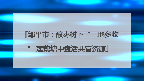 邹平市：酸枣树下“一地多收” 莲藕塘中盘活共富资源
