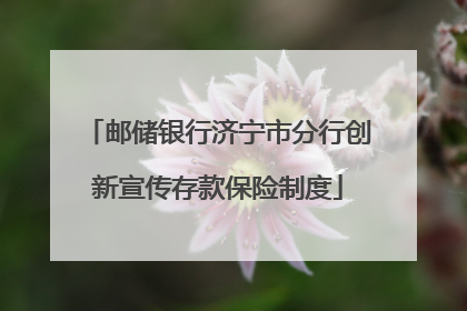 邮储银行济宁市分行创新宣传存款保险制度