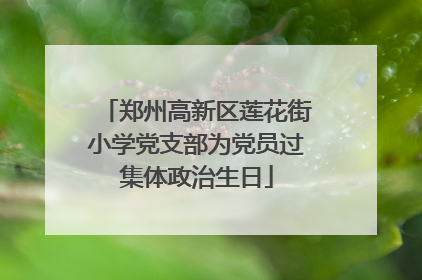郑州高新区莲花街小学党支部为党员过集体政治生日