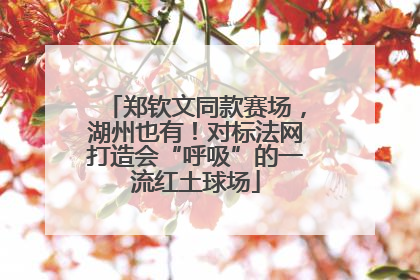 郑钦文同款赛场，湖州也有！对标法网打造会“呼吸”的一流红土球场