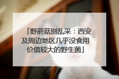 野蘑菇别乱采：西安及周边地区几乎没食用价值较大的野生菌