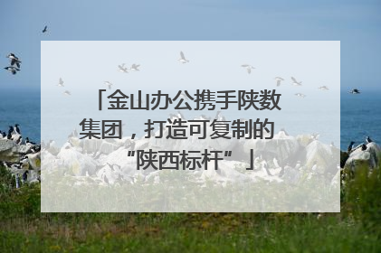 金山办公携手陕数集团，打造可复制的“陕西标杆”