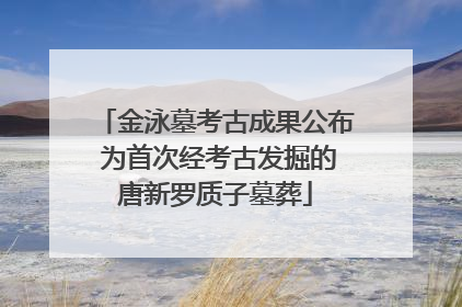 金泳墓考古成果公布 为首次经考古发掘的唐新罗质子墓葬