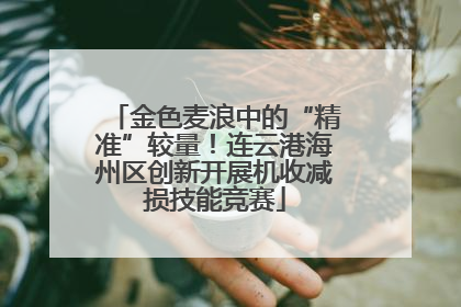 金色麦浪中的“精准”较量！连云港海州区创新开展机收减损技能竞赛