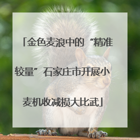 金色麦浪中的“精准较量”石家庄市开展小麦机收减损大比武