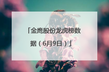 金鹰股份龙虎榜数据（6月9日）