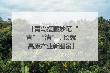 青岛援藏妙笔“青”“清”，绘就高原产业新图景