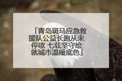青岛斑马应急救援队公益长跑从未停歇 七载坚守绘就城市温暖底色