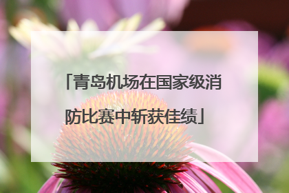 青岛机场在国家级消防比赛中斩获佳绩