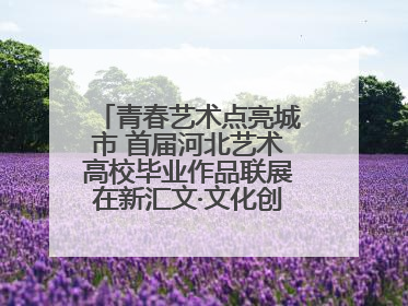 青春艺术点亮城市 首届河北艺术高校毕业作品联展在新汇文·文化创意体验中心开幕