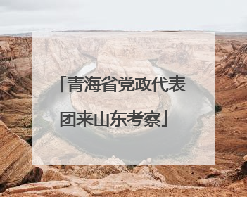 青海省党政代表团来山东考察