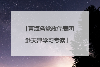 青海省党政代表团赴天津学习考察
