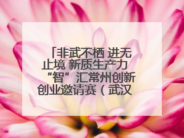 非武不栖 进无止境 新质生产力“智”汇常州创新创业邀请赛（武汉站）圆满举办