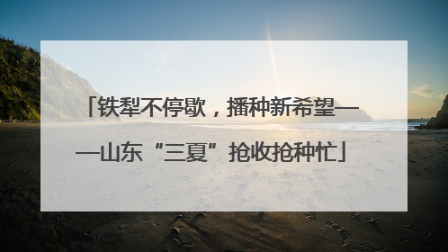 铁犁不停歇，播种新希望——山东“三夏”抢收抢种忙