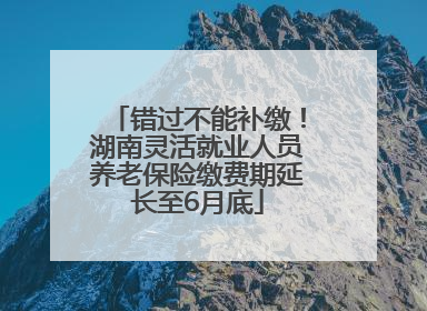 错过不能补缴！湖南灵活就业人员养老保险缴费期延长至6月底