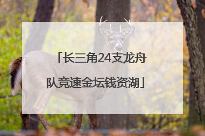 长三角24支龙舟队竞速金坛钱资湖
