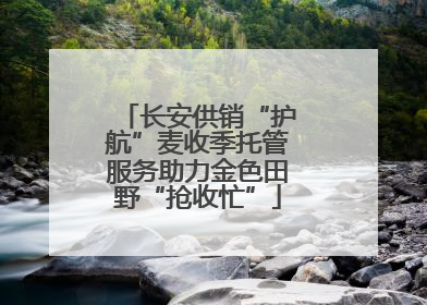长安供销“护航”麦收季托管服务助力金色田野“抢收忙”