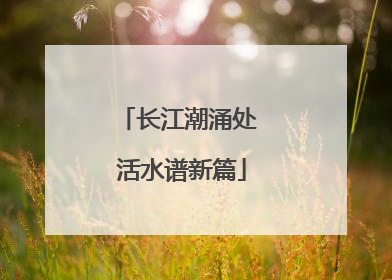 长江潮涌处 活水谱新篇