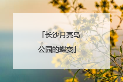 长沙月亮岛公园的蝶变
