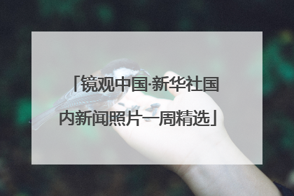 镜观中国·新华社国内新闻照片一周精选