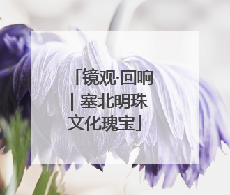 镜观·回响｜塞北明珠 文化瑰宝