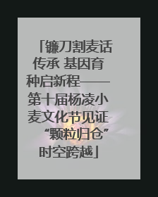 镰刀割麦话传承 基因育种启新程——第十届杨凌小麦文化节见证“颗粒归仓”时空跨越