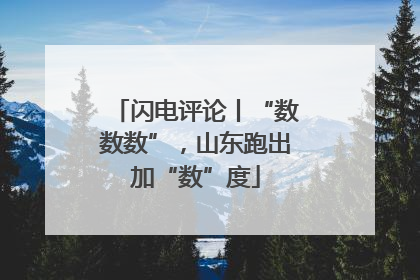 闪电评论丨“数数数”，山东跑出加“数”度