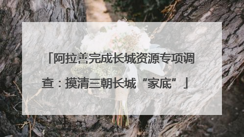 阿拉善完成长城资源专项调查：摸清三朝长城“家底”