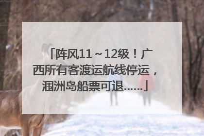 阵风11～12级！广西所有客渡运航线停运，涠洲岛船票可退……