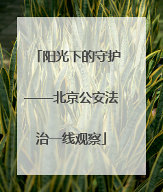 阳光下的守护——北京公安法治一线观察
