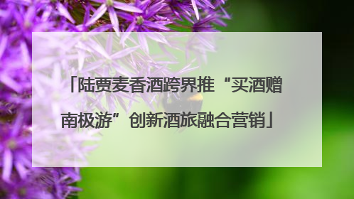 陆贾麦香酒跨界推“买酒赠南极游”创新酒旅融合营销