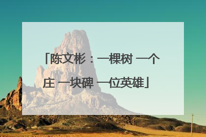 陈文彬：一棵树 一个庄 一块碑 一位英雄