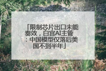 限制芯片出口未能奏效，白宫AI主管：中国模型仅落后美国不到半年