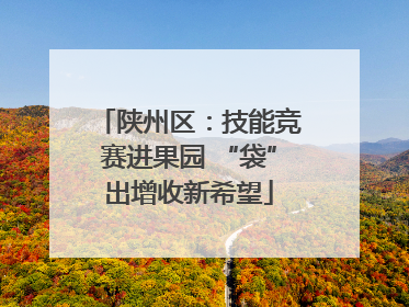陕州区：技能竞赛进果园 “袋”出增收新希望