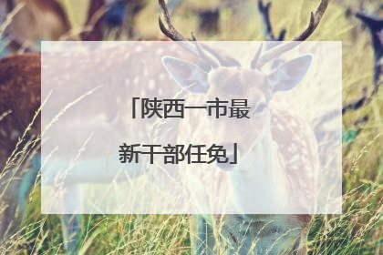陕西一市最新干部任免