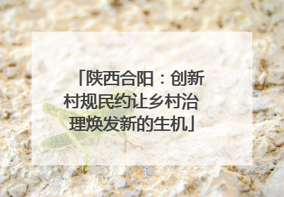 陕西合阳：创新村规民约让乡村治理焕发新的生机