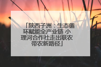 陕西子洲：生态循环赋能全产业链 小理河合作社走出联农带农新路径