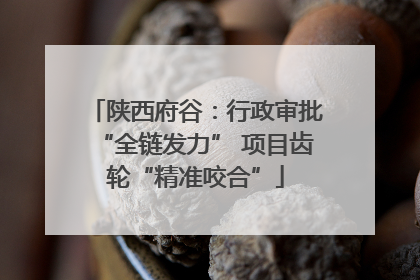 陕西府谷：行政审批“全链发力” 项目齿轮“精准咬合”