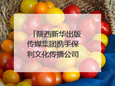 陕西新华出版传媒集团携手保利文化传播公司打造“时间典藏”数字艺术馆