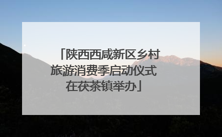 陕西西咸新区乡村旅游消费季启动仪式在茯茶镇举办
