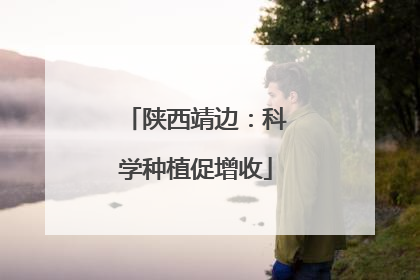 陕西靖边：科学种植促增收