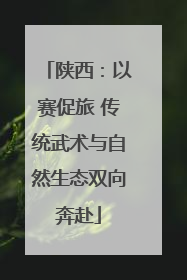 陕西：以赛促旅 传统武术与自然生态双向奔赴