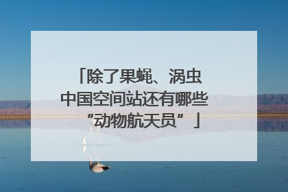 除了果蝇、涡虫 中国空间站还有哪些“动物航天员”