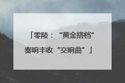 零陵：“黄金搭档”奏响丰收“交响曲”