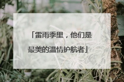 雷雨季里，他们是最美的温情护航者