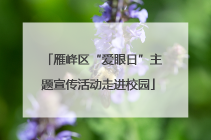 雁峰区“爱眼日”主题宣传活动走进校园