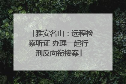 雅安名山：远程检察听证 办理一起行刑反向衔接案