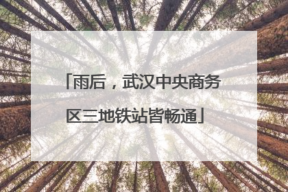 雨后，武汉中央商务区三地铁站皆畅通