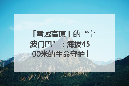 雪域高原上的“宁波门巴”：海拔4500米的生命守护